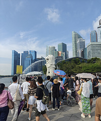 �¼�������������