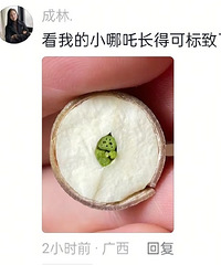 �����Ӵ��м��п����������һ��С��߸