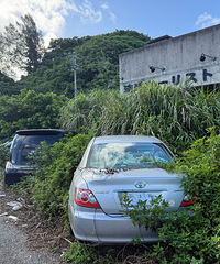 �⳵��ֱ�ӿ��߿����𣿵����ĳ��Ӿ�������·�ߣ�