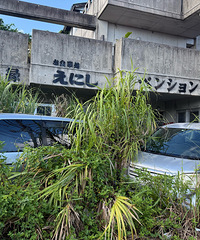 �⳵��ֱ�ӿ��߿����𣿵����ĳ��Ӿ�������·�ߣ�