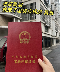 Ϊʲô�չ������ݷ�����