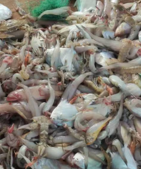 ��������ȫ��ˮ��