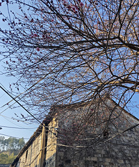 82��δ���Ҹ�Ů�飬��е��ƹ����������з�