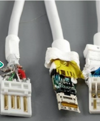 �����ֳ���ߵģ�Ȱ�����ϰε���