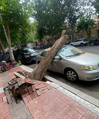 ��������չ�˾�ܲ��������˻�Ӧ��˭���⳥�أ����չ�˾����