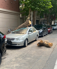 ��������չ�˾�ܲ��������˻�Ӧ��˭���⳥�أ����չ�˾����