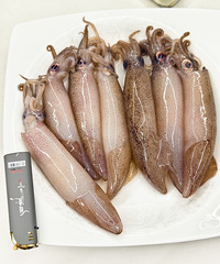 ͼһ��һ��������ʶ����