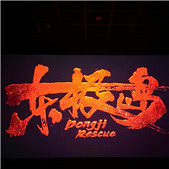 ���޿�������