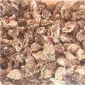 ���Ǻ�����