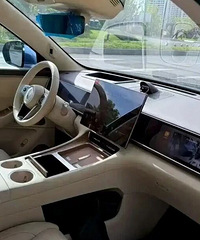 ����ţ�ͷ������������7���³�