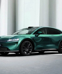 ����ţ�ͷ������������7���³�