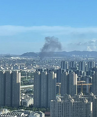 �����Ż���