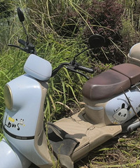 ̨�ݵ����б�������