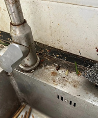 �����żҵĳ���