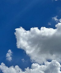 ���»���������̨���ѳ��ָɺ���������......