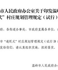 �����С�ͨ��ʽ����ׯ�滮�����涨�����У�