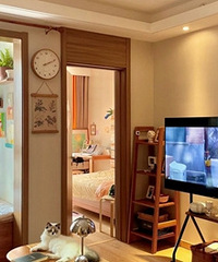 ���ӵ�����ʲô����Ҫ��