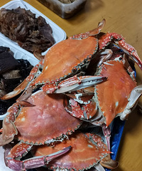 �������ʲô���п��ˣ�����һ����ʳ