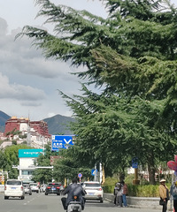 ������ħŮ���ಿλ�ĳ��С�������