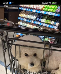 [�״�]�ѹ����ڳ��й��ﳵ����ǹ���������ʿ������