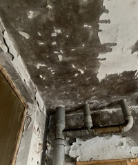 ����ַ��������������ģ��ٺ�Ҳ��Ҫ����