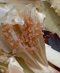 ����ֶ��ģ��ƿ����������飬���ᶯ���������У�����̨���˰���