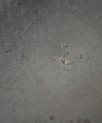 �������������