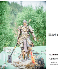 �����ڵ��ڵ�����