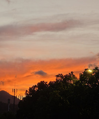 97���о����������ȶ����ٺ�������̨�ݵ�