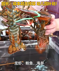 [ţ]һ�׶�԰20Ԫ�ͱ������Ϻ���㣬�׶�԰������Ӧ