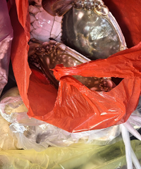 ���ճ�̯���