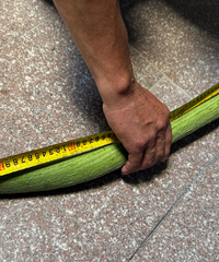 һ��˿�����Ͷ��Բ���