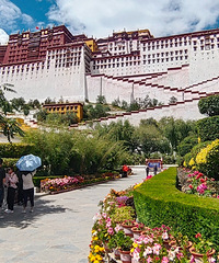 ��������������·����ȫ�̵�