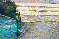 ��������������ʺ������ִ��̨��Ů���賿��2ֻ����21¥����ˤ��