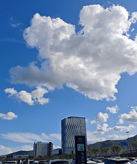 Ϊɶ���������Ҳ��׽���