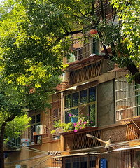 ΪɶԽ��Խ�����������Ͼ�С���������ˣ��� 3 �����ؼ�ֵ