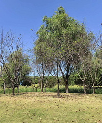 �۸����ˮ��������Ԫ���ܶ�̨��������ס��