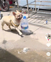 5���С����ƿ5��������Ԫ���������ѣ�û��һ�ڹ����ǰ׳�