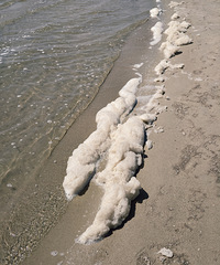 Ϊʲô��ɳ̲��ô����ĭ�أ�