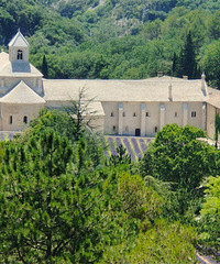 ��ɫ޹�²ݵ���������