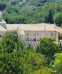 ���Ͽ��޵�Ժ����Ȼ����������������