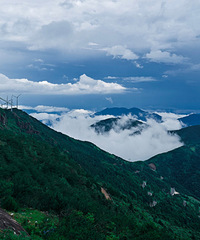 �����ƺ�