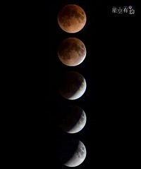 ������������Ҫ���ˣ����ѣ�����ҹ������ϲ