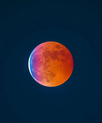 ������������Ҫ���ˣ����ѣ�����ҹ������ϲ