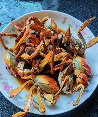 ���ڵ���з�������»ƺóԶ��ˣ���׳������