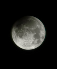 û�нżܣ�ȫ�ֿأ�