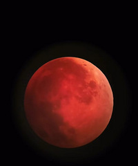 ������ҹ��Ѫ�£�����֢����