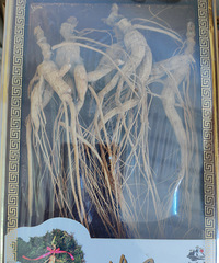 [�۸���]ɶҲ�����ܾ����ۣ�����Ѫ��������