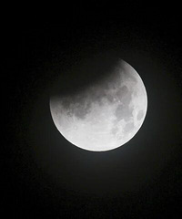 ��˯����û�����ġ���ȫʳ����������