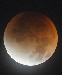 ��˯����û�����ġ���ȫʳ����������